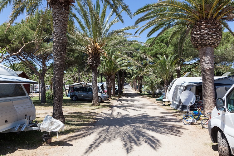 Caravans and motor homes on a camping site with palm trees. Andalusia, Spain